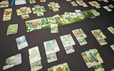 Mischwald
